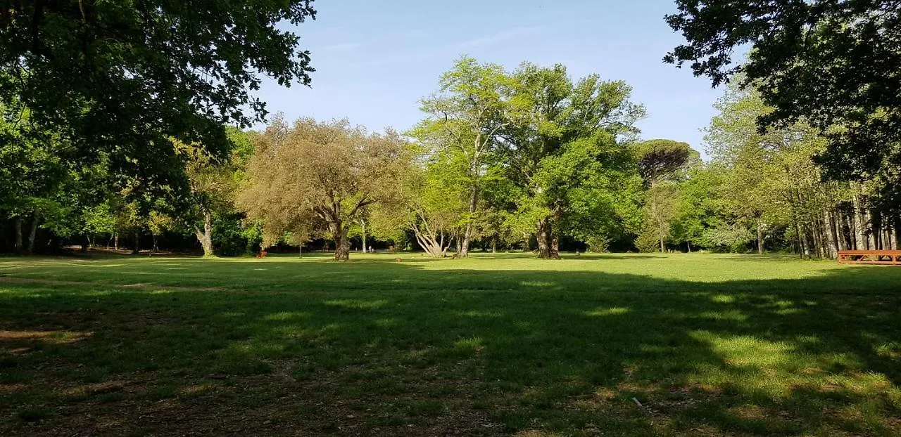 Apartment Dea - Three Bedroom Apartment Pula 0*,